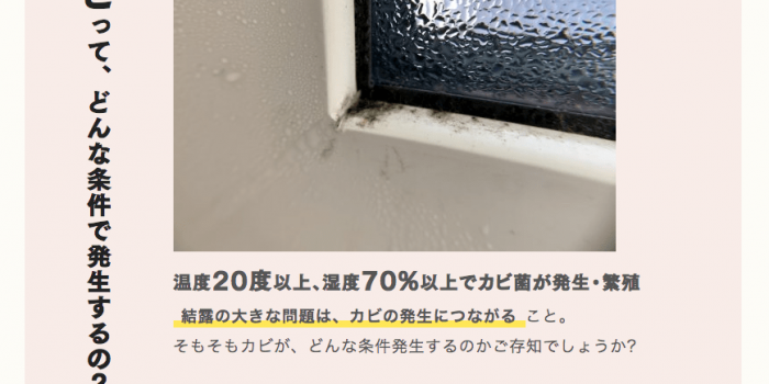 エントリーの中でアクセントを付ける