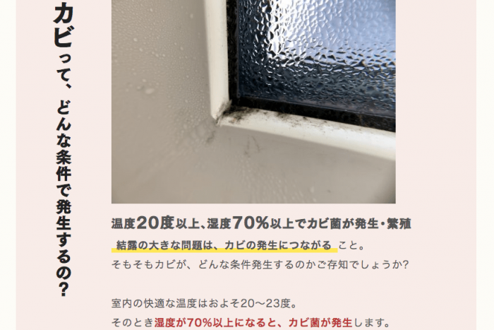 装飾の自由度が高い、アクセント段落